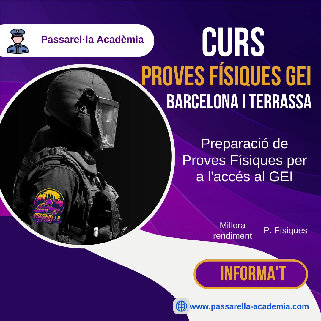 fisiques_gei